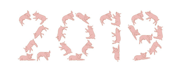 2019 year of the pig isolated on white background