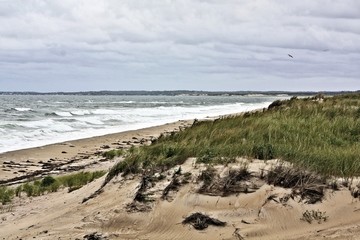 Beach in New England.Named for the beach plums that grew across its sand dunes,