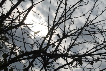  nature, autumn, beauty