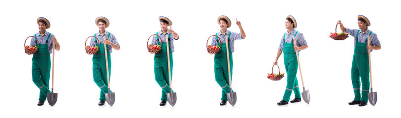 Young farmer isolated on the white background