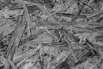 black and white wood plank texture background