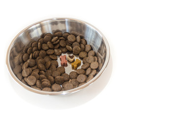 Dog food in the bowl with treats in the form of bones and a heart