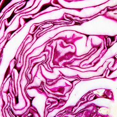 Obraz premium Winding cabbage