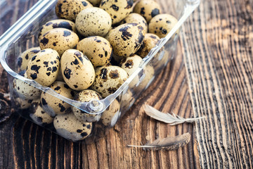 Obraz na płótnie Canvas Organic quail eggs