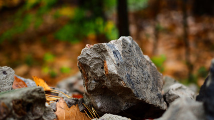 Fototapeta na wymiar Sterta kamieni w jesiennym lesie