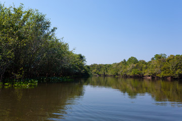 Panorama from Pantanal, Brazilian wetland region.