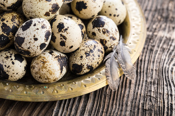 organic quail eggs