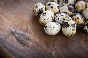 organic quail eggs