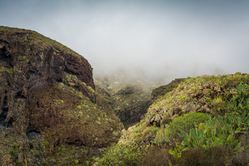 Fototapeta na wymiar Schlucht mit Wolken in den Bergen auf Teneriffa