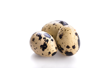 Obraz premium Organic quail eggs
