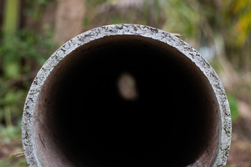 concrete pipe on land in garden
