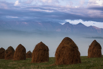 Kopy siana Pieniny © bxfot