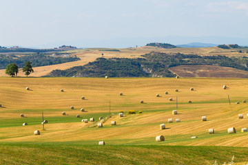Fototapeta na wymiar Tuscany hills landscape, Italy