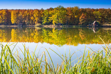 Fototapeta na wymiar Fishing lake with piers and huts on a sunny autumn day