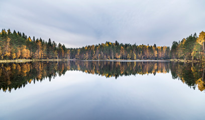 Beautiful autumn landscape next to calm lake