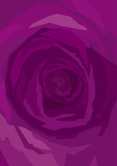 background purple rose close-up, Marsala color, violet, magenta, maroon, burgundy. vertical format