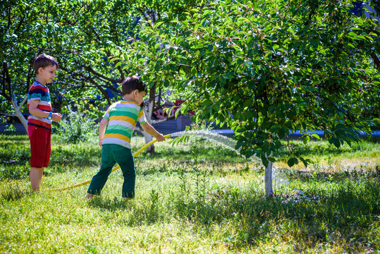 Little child, adorable blonde toddler boy, watering the plants, beautiful apple tree