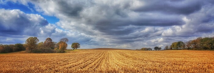 Farmfield rows & clouds