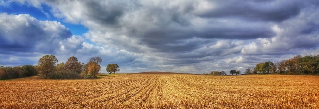 Farmfield rows & clouds