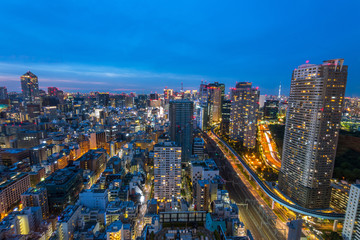 Fototapeta na wymiar amazing view of tokyo skyline at sundown