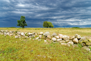 NSG Sehlendorfer Binnensee und Umgebung bei Hohwacht, Kreis Plön, Probstei, Schleswig-Holstein,...