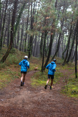 Obraz premium corriendo por el bosque 