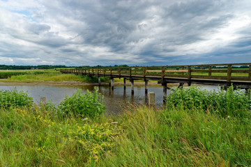 NSG Sehlendorfer Binnensee und Umgebung bei Hohwacht, Kreis Pl&ouml;n, Probstei, Schleswig-Holstein, Deutschland