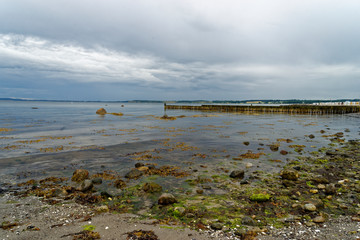 Strand in Hohwacht an der Ostsee, Kreis Pl&ouml;n, Probstei, Schleswig-Holstein, Deutschland