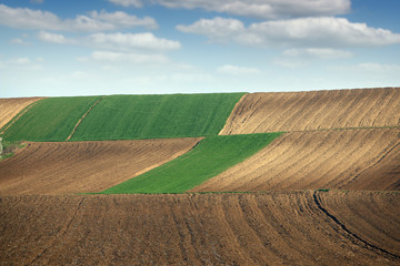green wheat and plowed fields landscapes