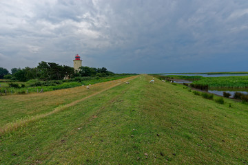 Fototapeta na wymiar Leuchtturm Westernmarkelsdorf, Insel Fehmarn, Schleswig-Holstein, Deutschland
