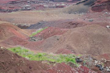 Hintergrund: rote Gesteins- und Erdschichten im Zwillingskrater Seyðishólar / Süd-West-Island © tina7si