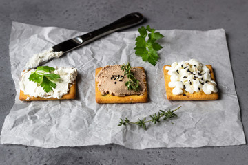 Tasty salted square crackers with cream cheese, cottage cheese, liver pate, seeds and herbs on parchment paper. 