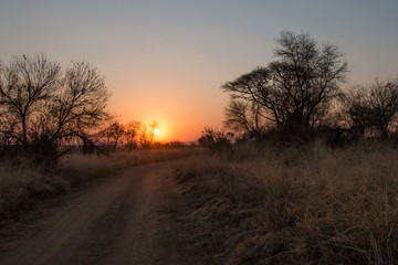 Fototapeta na wymiar African sunset taken over a gravel road, trees and bushes