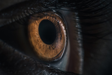Extreme macro shot of human eye pupil