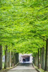 passeggiata romantica