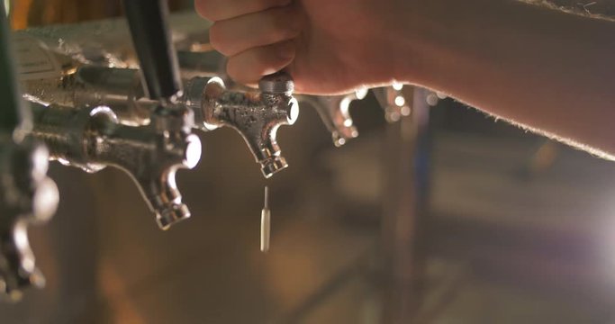 Brewery Pours Taste Glass of Beer