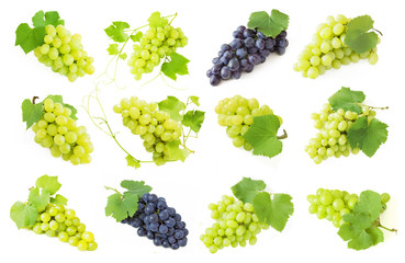 tasty grapes branch