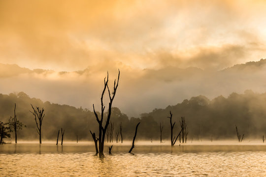 Foggy sunrise over the tropical Cheo Lan Lake. Khao Sok national park, Thailand, Surat Thani province.