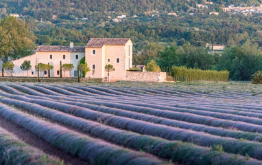 Provence