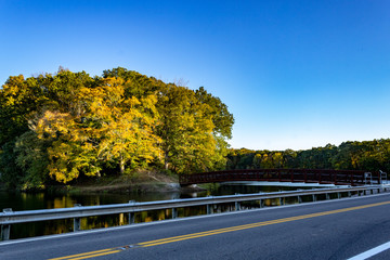 road in autumn