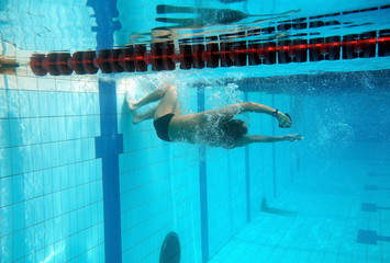 Swimmer in the swimming pool