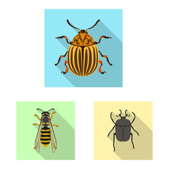 Vector design of insect and fly sign. Set of insect and element stock vector illustration.