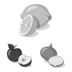 Vector design of vegetable and fruit sign. Collection of vegetable and vegetarian vector icon for stock.