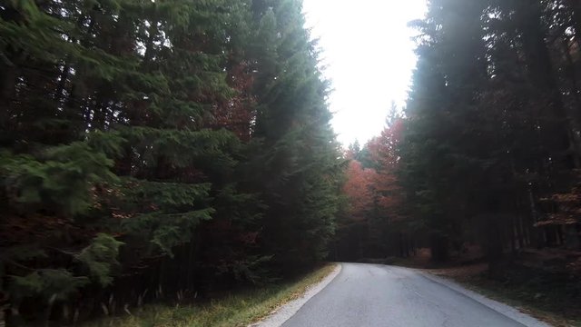 Driving through woods in autumn
