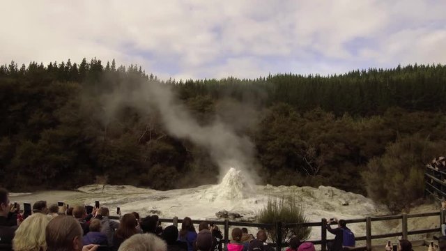 Ausbruch des Lady Knox Geysers im Wai-O-Tapu Thermal Resort