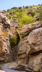 Rare Waterfall in  Molino Canyon Arizona