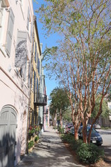 Fototapeta na wymiar Historic Charleston
