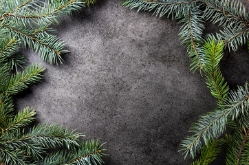 Pine tree branches on dark texture surface. Top view. Christmas background.