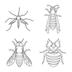Vector illustration of insect and fly icon. Collection of insect and element stock symbol for web.