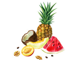 Watercolor illustration. Image of fruits and nuts. Watermelon, melon, pineapple, coconut, mango, nuts.
